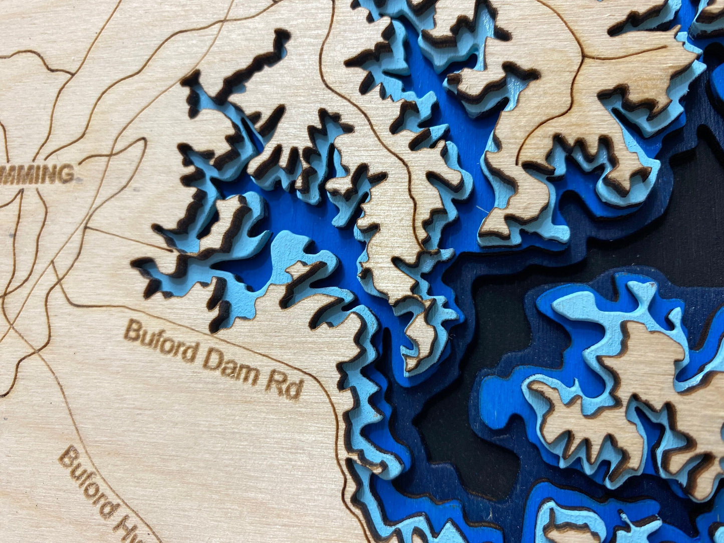 Lake Santeetlah 3D Framed Picture Map,  Wooden Engraved Map,